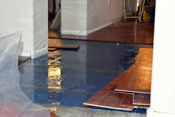 Professional Sewage Cleanup technician working in Easton, MD